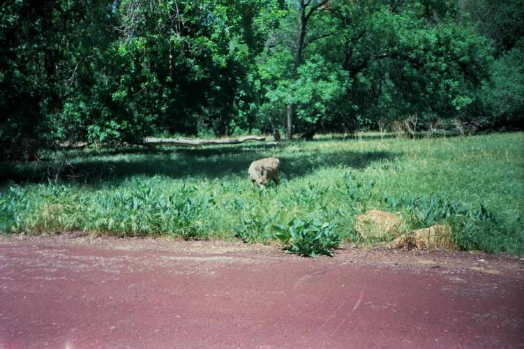 USA_1990-05-18 00-00-01_R05F03